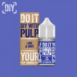 DIY Lime Mint Pulp