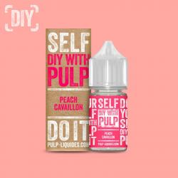 DIY Peach Cavaillon Pulp